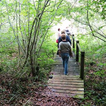 Bornes de la forêt de Mirebeau-sur-Bèze